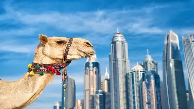 The Only Bahrain Travel Guide You'll Ever Need!